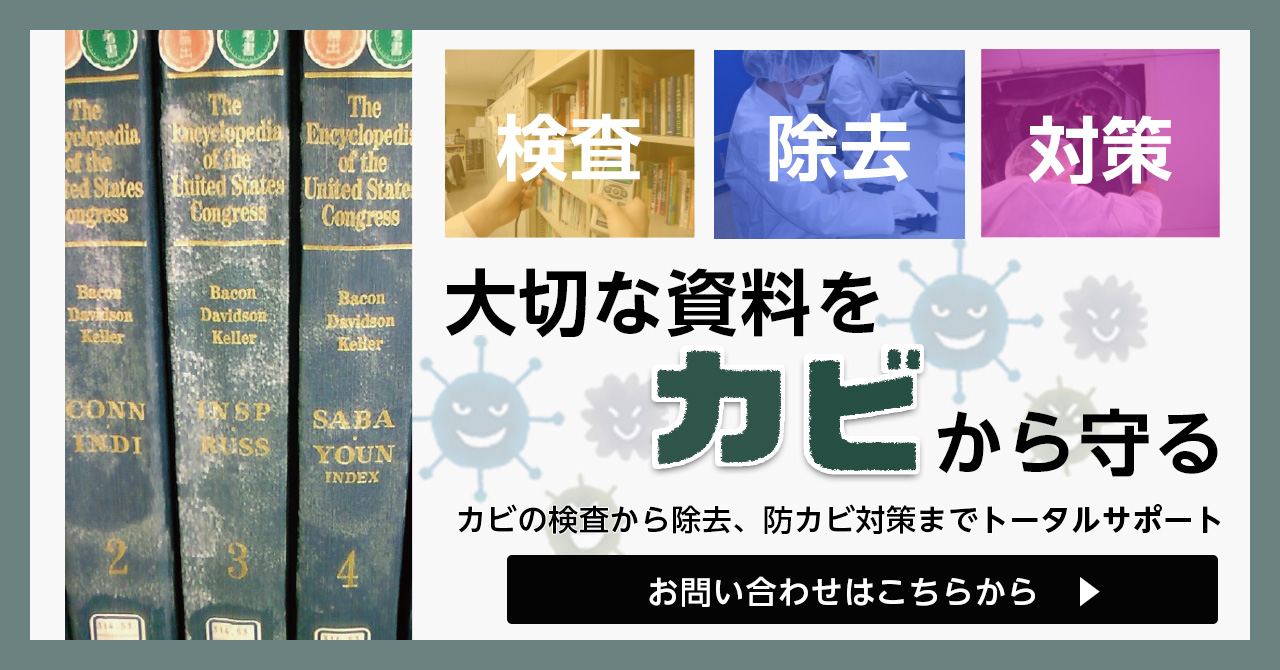 カビサイト