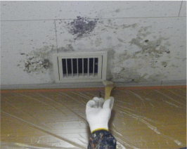 室内の防カビ施工/除菌作業後の、防カビ塗装